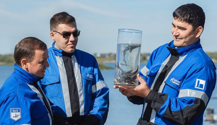 Восстановление популяций промысловых рыб
