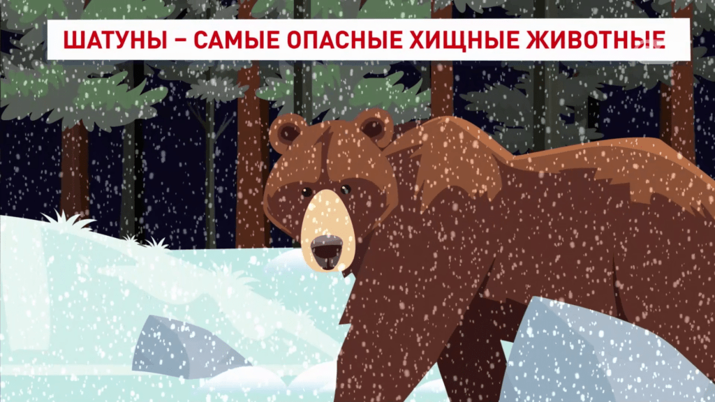 Шатуны  &mdash; самые опасные хищные животные