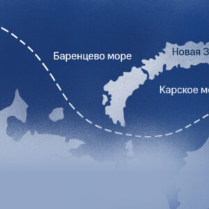 Ледовое путешествие: какие животные встречаются на&nbsp;Северном морском пути