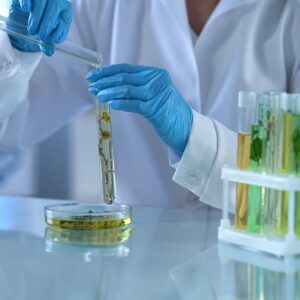 «Зеленая» очистка: ученые из Петербурга научили одноклеточные водоросли улавливать углекислый газ из дыма ТЭЦ