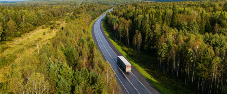 Фото: Shutterstock